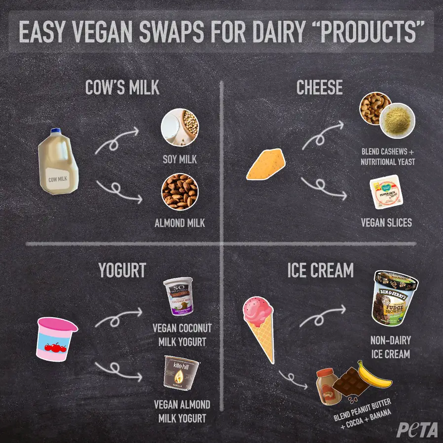 vegan-swaps-for-dairy-products-peta.jpeg