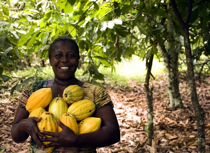 woman_harvesting_her_firm_produce_for_sale..jpg